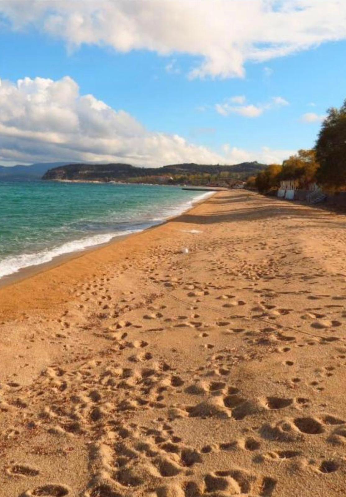 κοχυλι Apartment Ierissos